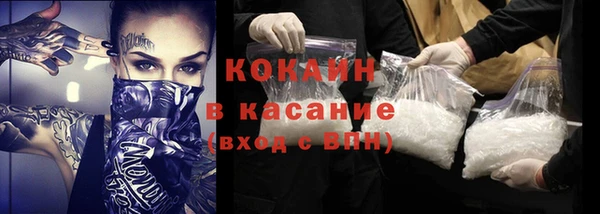 прущие грибы Балахна