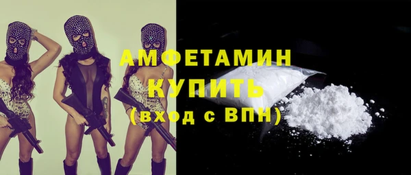 прущие грибы Балахна