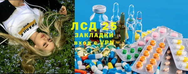 прущие грибы Балахна