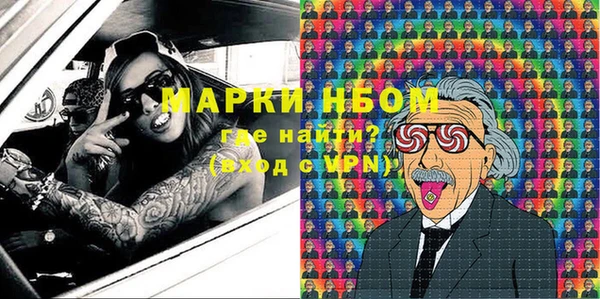 прущие грибы Балахна