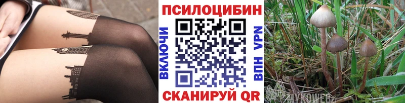 ОМГ ОМГ ССЫЛКА  Чехов  Галлюциногенные грибы Cubensis 